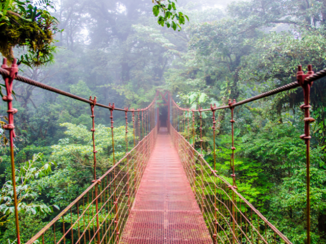 costa rica 6